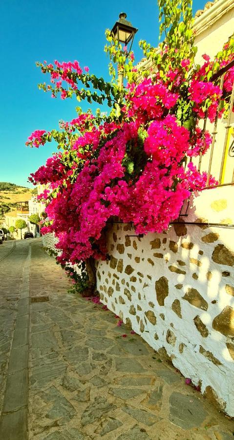 Preciosa Casa De Pueblo Entre Ronda Y Setenil La Posada De Catalina Монтекорто Екстер'єр фото