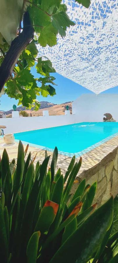 Preciosa Casa De Pueblo Entre Ronda Y Setenil La Posada De Catalina Монтекорто Екстер'єр фото